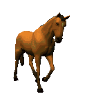 gif chevaux